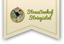 (c) Straussenhof-striegistal.de
